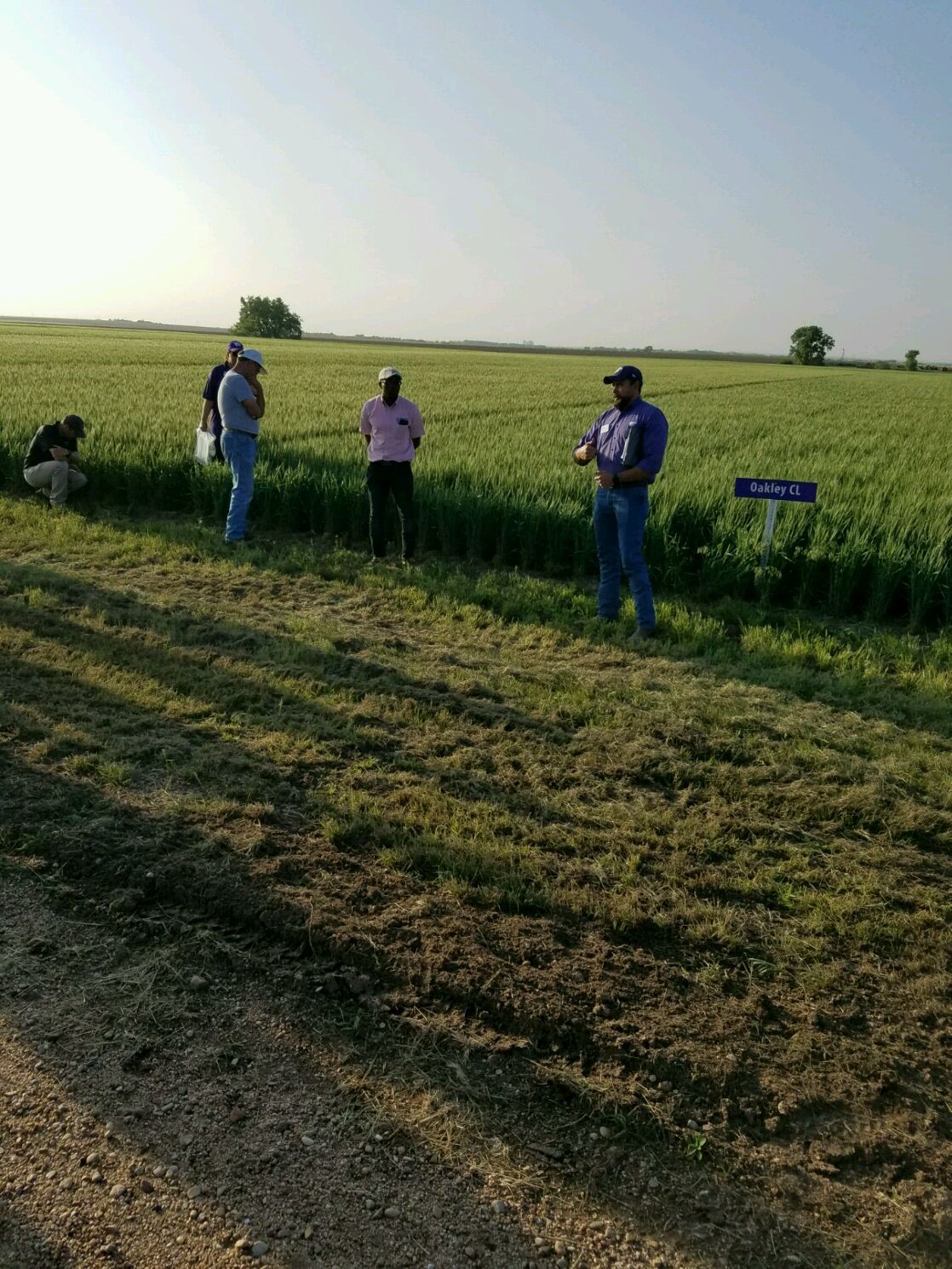 Crops and Livestock | Pawnee County