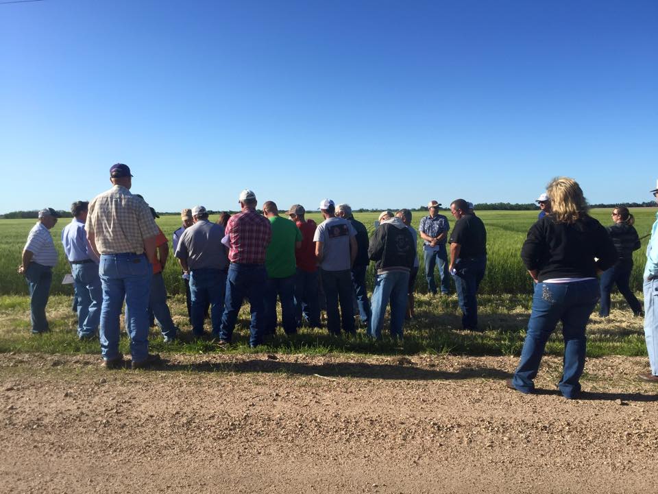 Crops and Livestock | Pawnee County